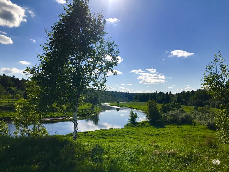 Куда пойти с детьми: 5 маршрутов загородных походов на один-два дня. Изображение номер 9