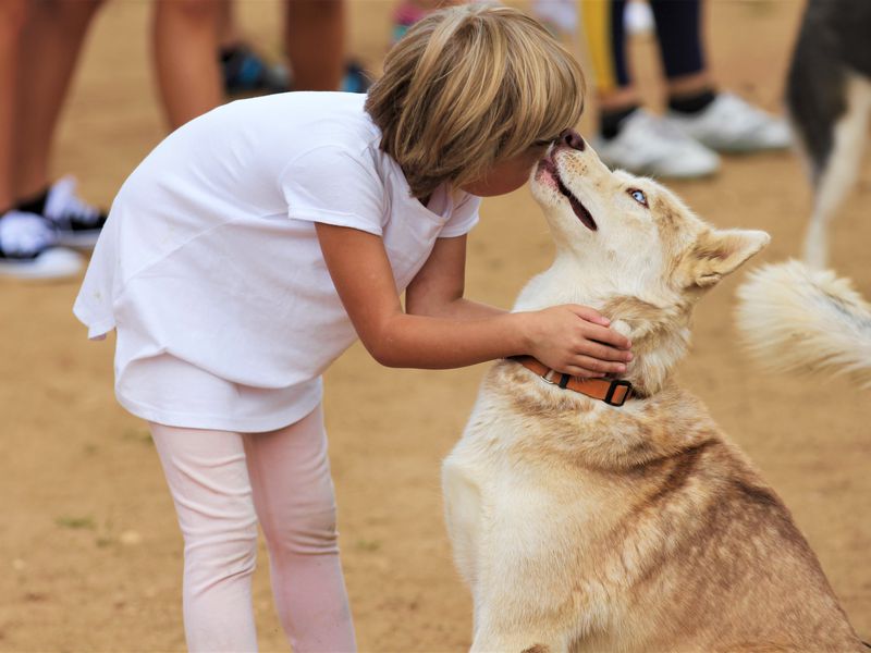 Куда пойти с детьми: 5 маршрутов загородных походов на один-два дня. Изображение номер 8