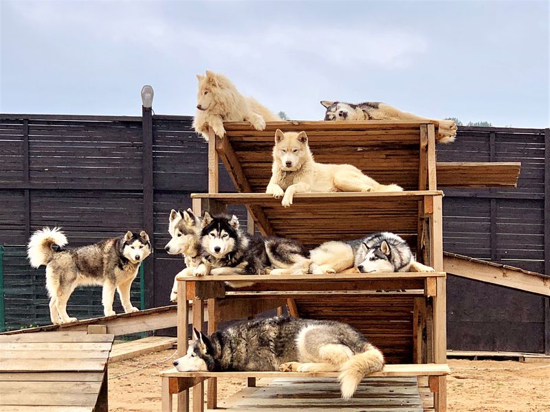 Куда пойти с детьми: 5 маршрутов загородных походов на один-два дня. Изображение номер 11