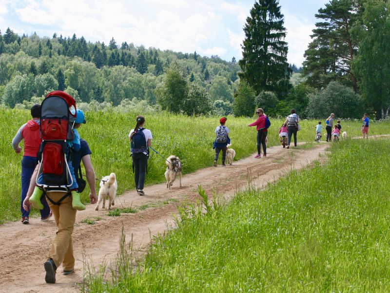 Куда пойти с детьми: 5 маршрутов загородных походов на один-два дня. Изображение номер 7