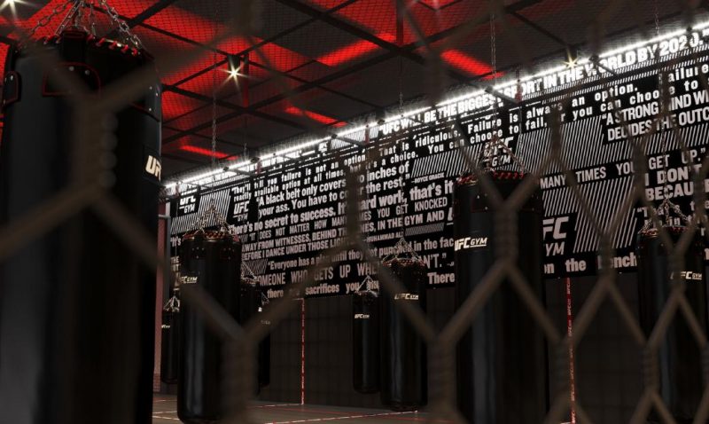 В Москве открылся новый фитнес-клуб UFC GYM «Арена Плаза». Изображение номер 3