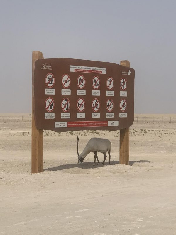 Где тренироваться в Дубае: наш выбор мест и маршрутов. Изображение номер 10