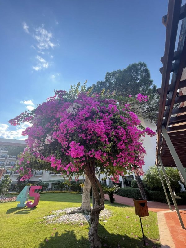 5 поводов ехать в Кемер (не считая all inclusive). Изображение номер 3