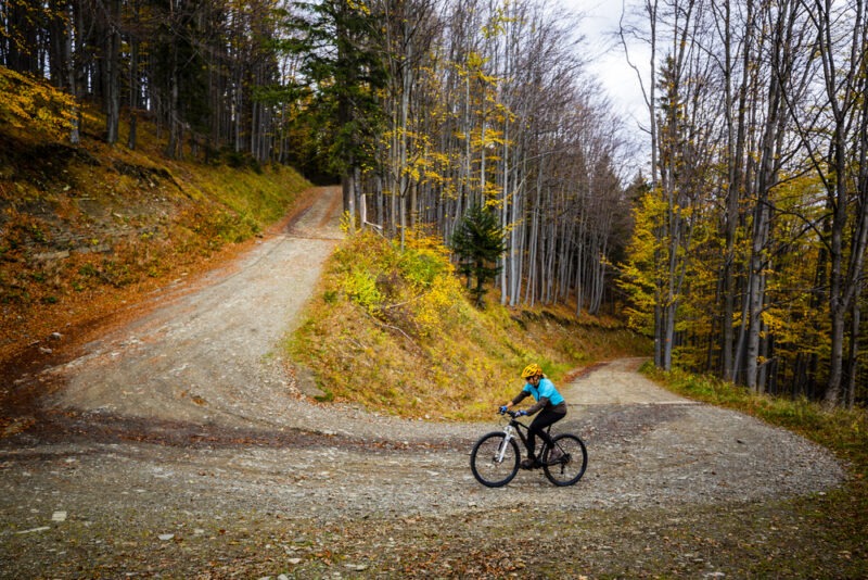 Осенний лес MTB