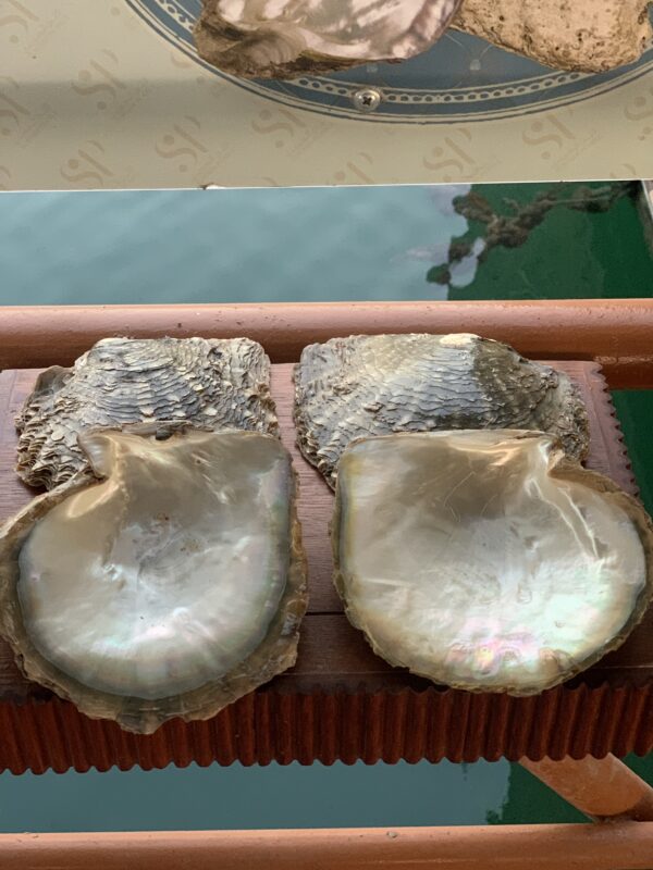 5 причин провести выходные в эмирате Рас-Эль-Хайма. Изображение номер 12